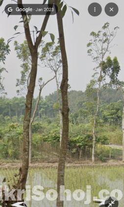 জমি বিক্রি